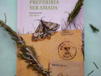 49210976_2043133409101947_8399068216755748864_n